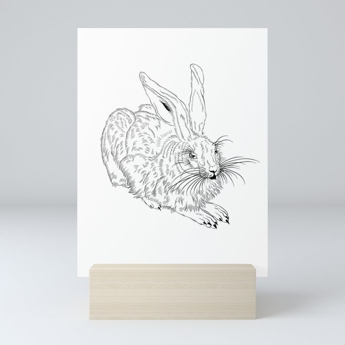 Young Hare, after Albrecht Dürer Mini Art Print