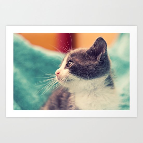 Billy The Cat Art Print