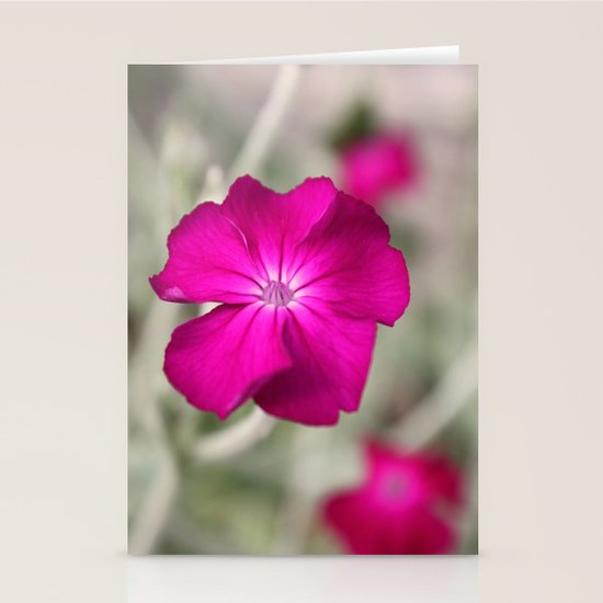 pink Stationery Cards