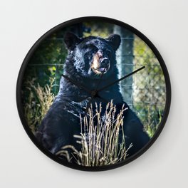Sitting Bear Wall Clock