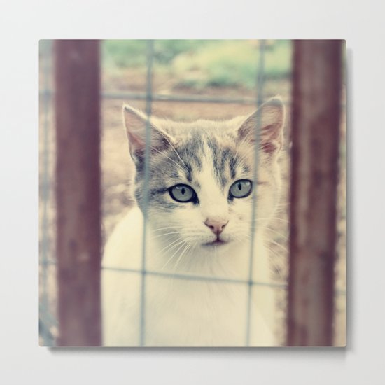 The Look Metal Print