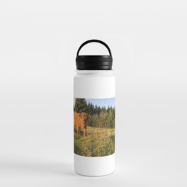 Fluffy Highland Cattle Cow 1188 Water Bottle