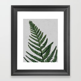 Green Fern - Botanical Forest Sage Vintage Leaf Watercolor Wall Art Farmhouse Rustic Country Nature Framed Art Print