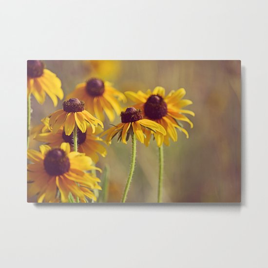 Yellow Hat Coneflowers Summer Botanical Metal Print