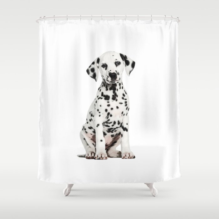 Cute Dalmatian 6 Shower Curtain