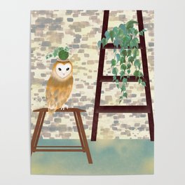Bonsai Owl and ivy potted plant on ladder shelf Poster