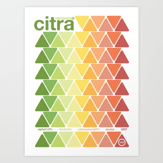 citra single hop Art Print
