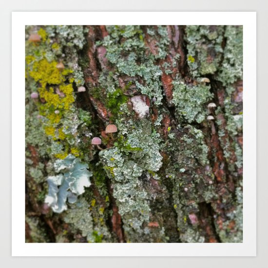 Tiny Mushroom Art Print