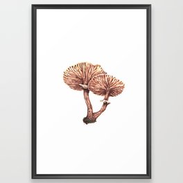 Fungi watercolor - Armillaria gallica Framed Art Print