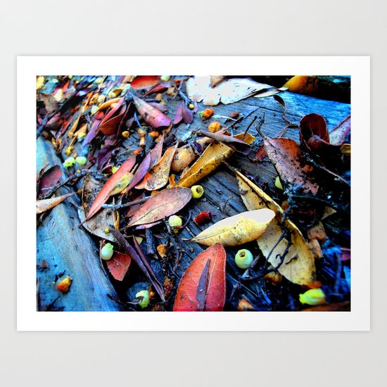 Leaves of a Strawberry Tree Art Print