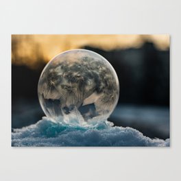 Winter Bubbles V Canvas Print