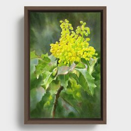 Oregon Grape Wild Flowers, floral watercolor painting Framed Canvas
