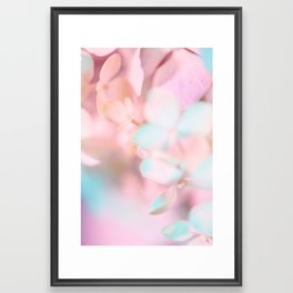 Candy Petals I Framed Art Print