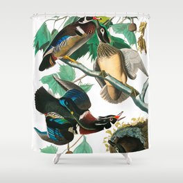  Wood Duck by John James Audubon Shower Curtain