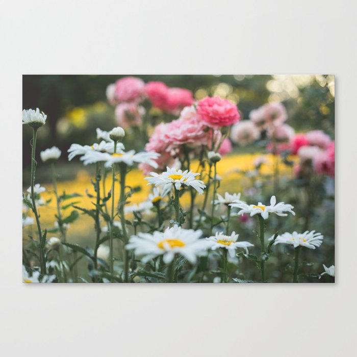 Wildflower Daylight Canvas Print