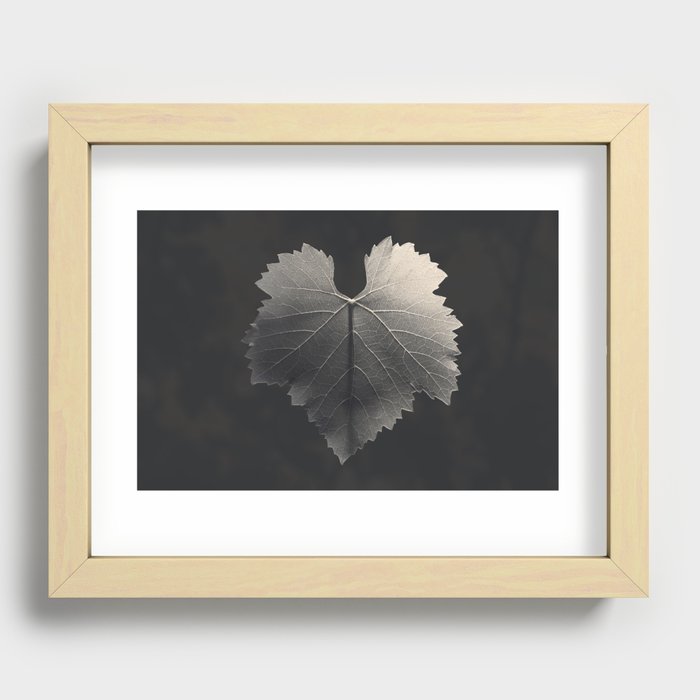 Grape Leaf Recessed Framed Print