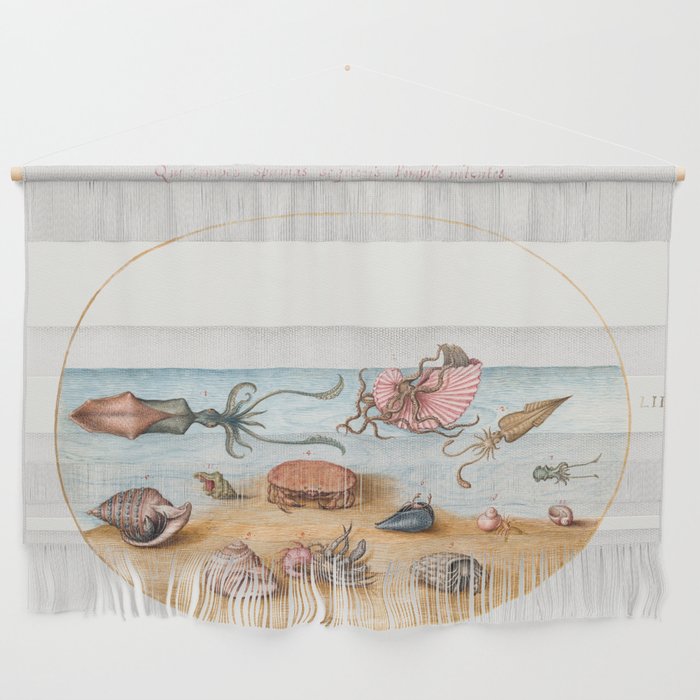 Vintage sea: Argonaut, Squid, Hermit Crabs, Shells and Crab Wall Hanging
