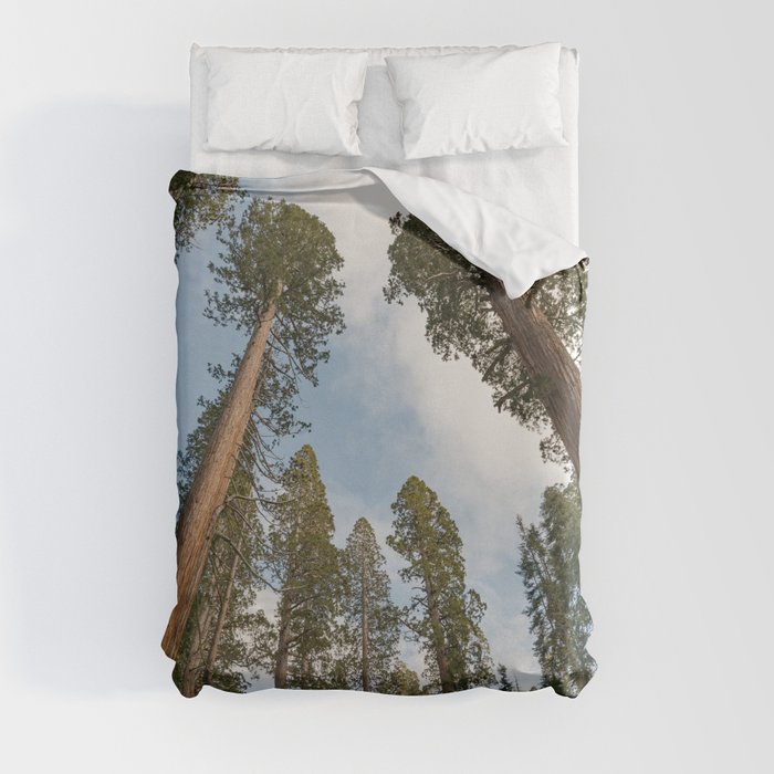 Redwood Sky - Giant Sequoia Trees Duvet Cover