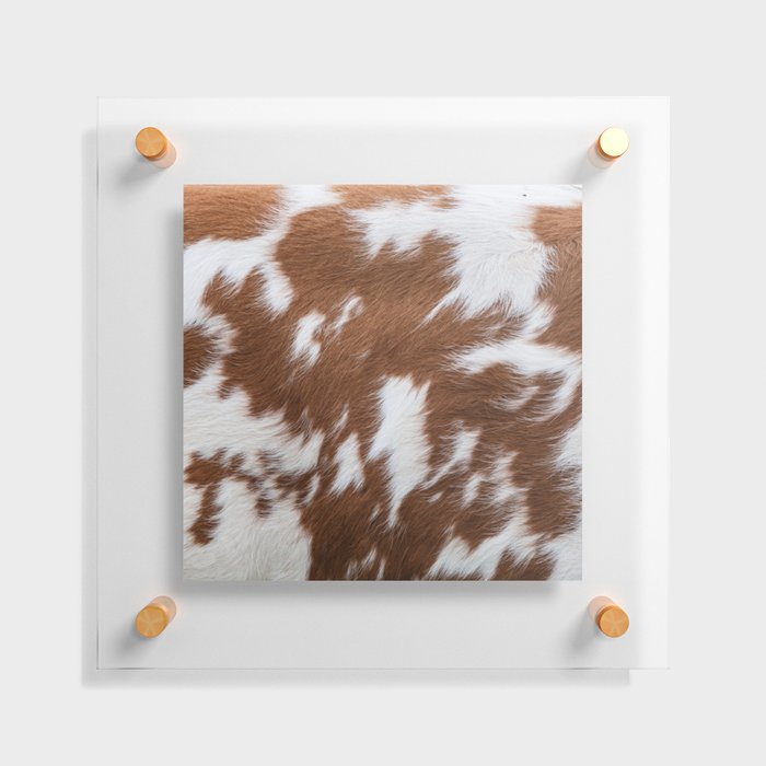 Brown and White Cow Skin Print Pattern Modern, Cowhide Faux Leather Floating Acrylic Print