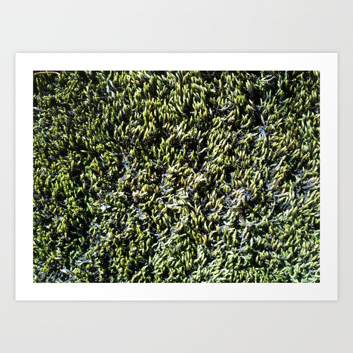 Moss Texture Art Print By Albin0 Society6