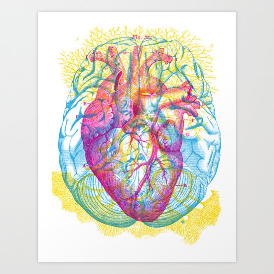 Brain Heart Circulation Art Print