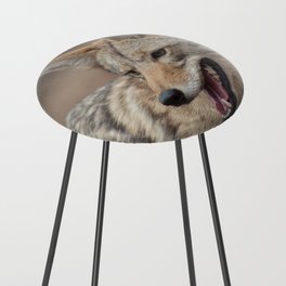 Smiling Coyote Counter Stool