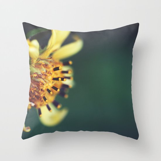 Sunburst Throw Pillow