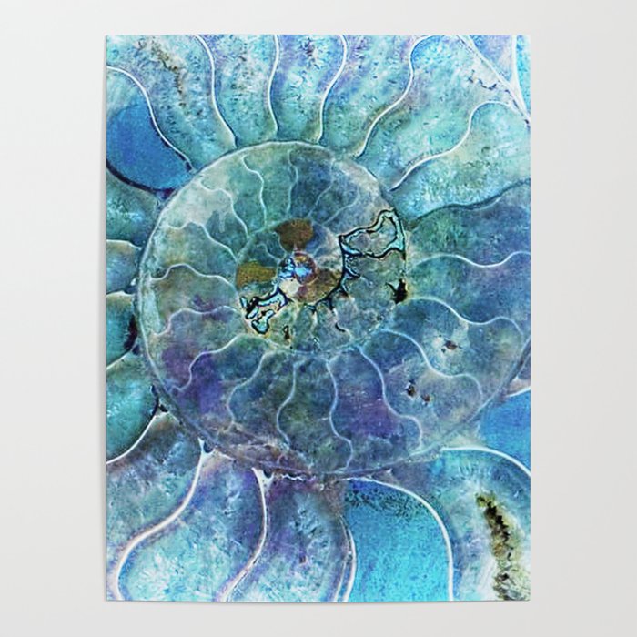 Aqua seashell - mother of pearl - Beautiful backdrop Poster