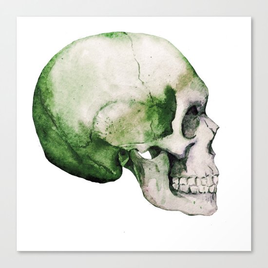 Skull 06 Canvas Print