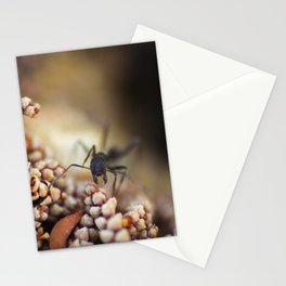 Ant first person Stationery Cards