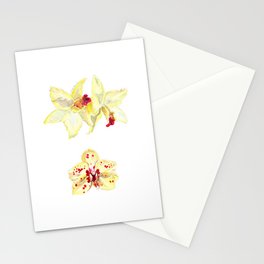 yellow orchids Stationery Cards