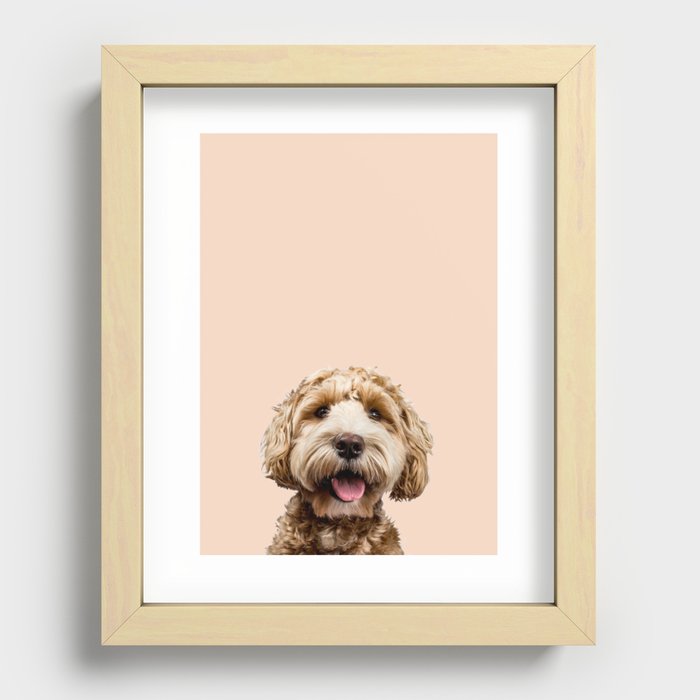 Happy Goldendoodle on Pastel Pink Background Recessed Framed Print