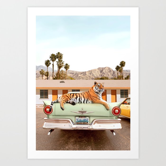 Tiger Motel Art Print Art Print