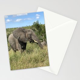 Wild at Heart Stationery Cards