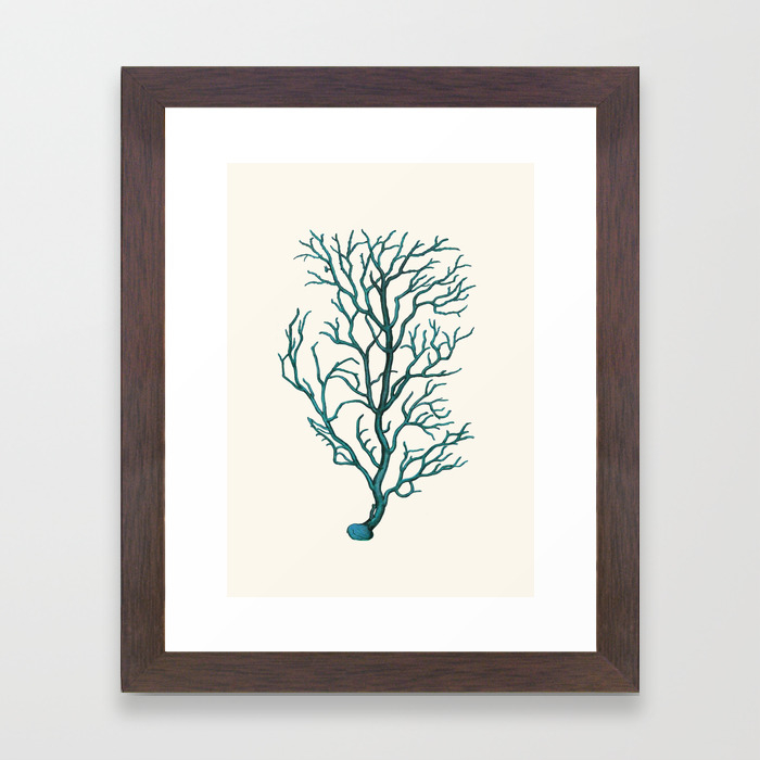 Vintage Sea Coral Wall Decor Print Antique Framed Art Print By Patruschka Society6