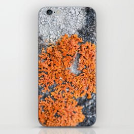 Orange Lichen iPhone Skin