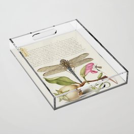 Calligraphic art with Dragonfly and fruit Acrylic Tray
