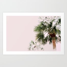 pink in south carolina Art Print
