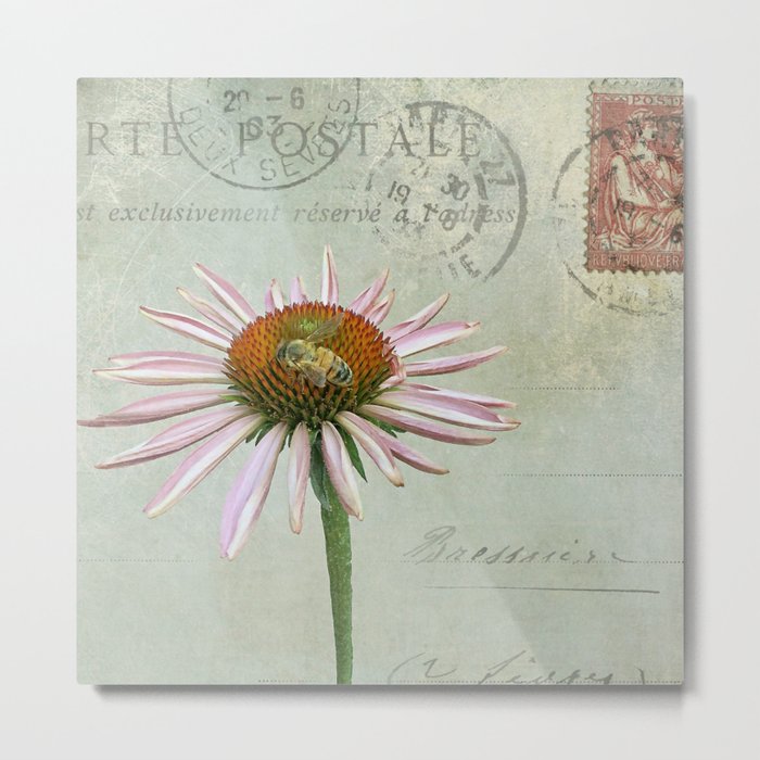 coneflower & bee postale Metal Print