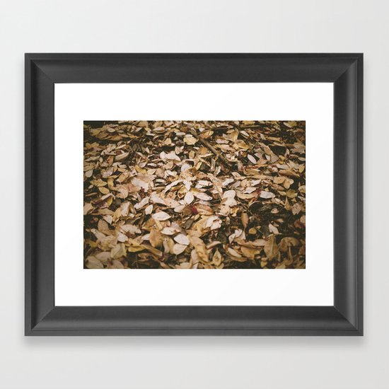 Autumn Trails Framed Art Print