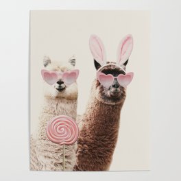 Lamas with pink sunglasses and lollipop Poster