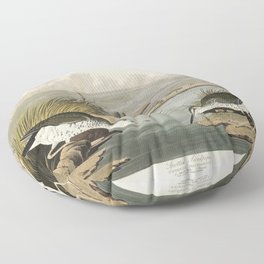 Spotted Sandpiper from Birds of America (1827) by John James Audubon  Floor Pillow