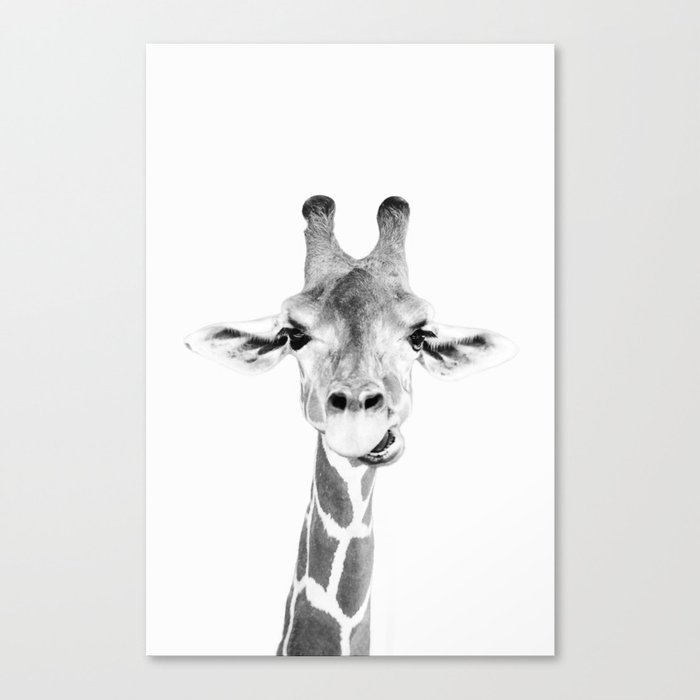 Hey Giraffe Canvas Print