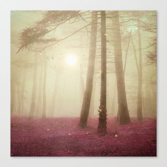 A new beginning VII Canvas Print