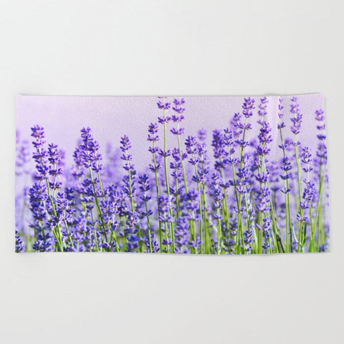 Lavender 15  Beach Towel