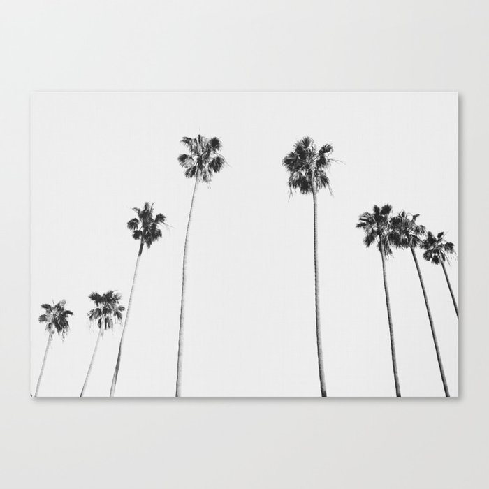 Black & White Palms Canvas Print