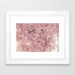 Pink flowers Framed Art Print
