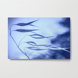 The fishes Metal Print