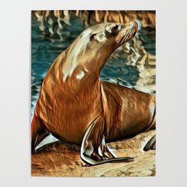 California Sea Lion Poster