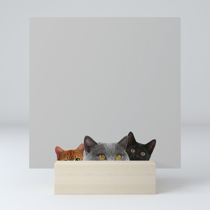 Grey Cat Print Animal Home Decor Pigeon Monochrome Cats Desin Mini Art Print